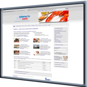 Verkaufs-Website zur Produktpräsentation SEO-Webdesign für Homepage